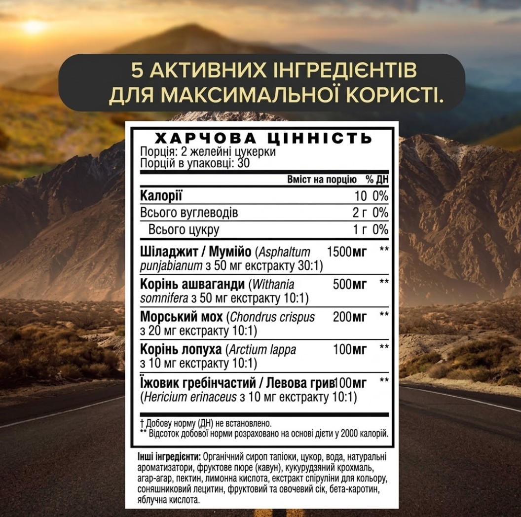 EION® 5-в-1 Комплекс для енергії, фокусу та антистресу | Шиладжит, ашваганда, їжовик