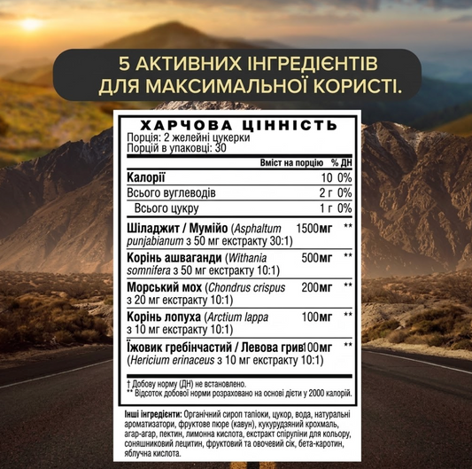 EION® 5-в-1 Комплекс для енергії, фокусу та антистресу | Шиладжит, ашваганда, їжовик